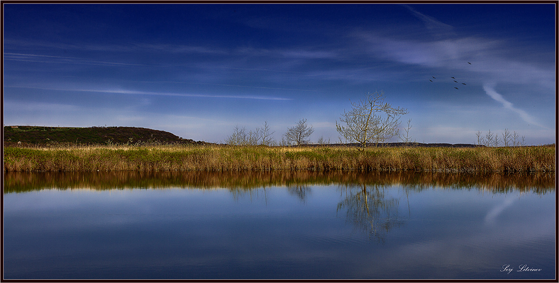 photo "***" tags: landscape, spring