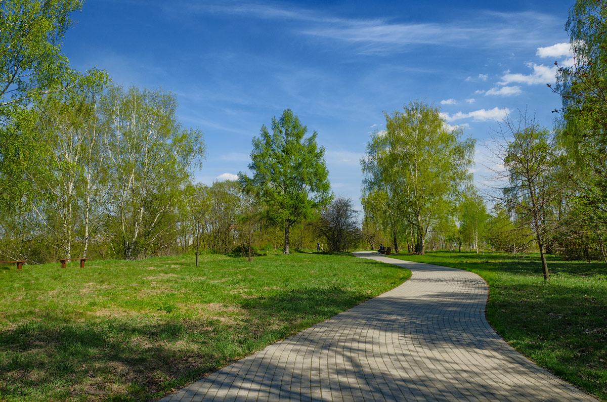 photo "***" tags: landscape, spring