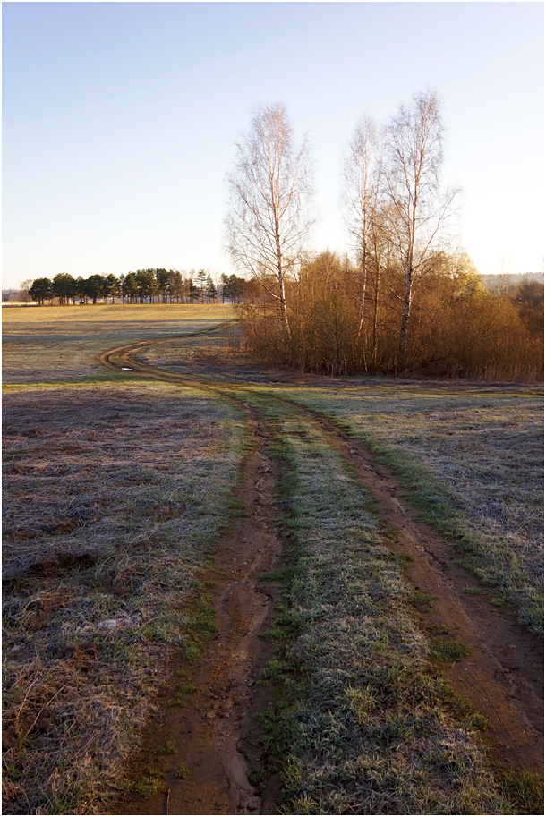 photo "***" tags: landscape, morning, road, spring