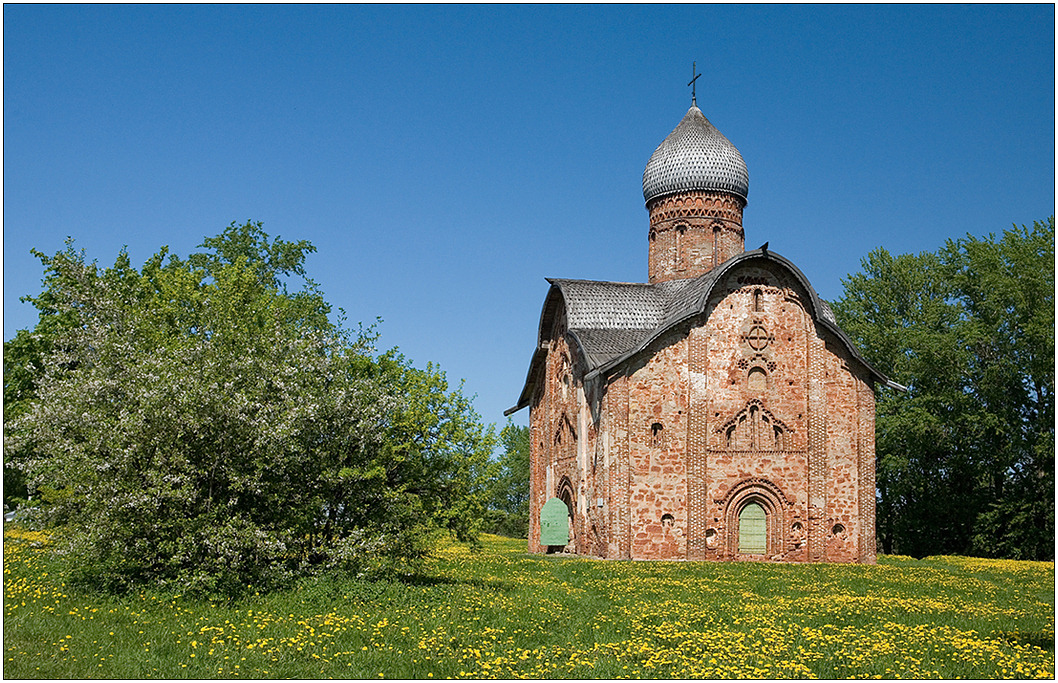 photo "Among the spring bloom" tags: architecture, landscape, Великий Новгород, май, церковь