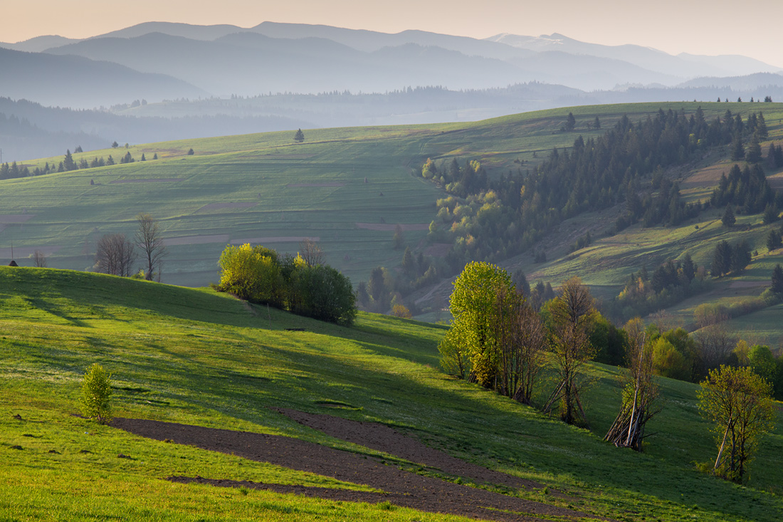 photo "***" tags: landscape, nature, travel, morning, mountains, sun, sunrise, Восход, Карпаты, солнечный луч, холмы