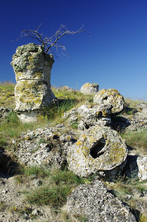 фото "Камък с клонка" метки: пейзаж, 