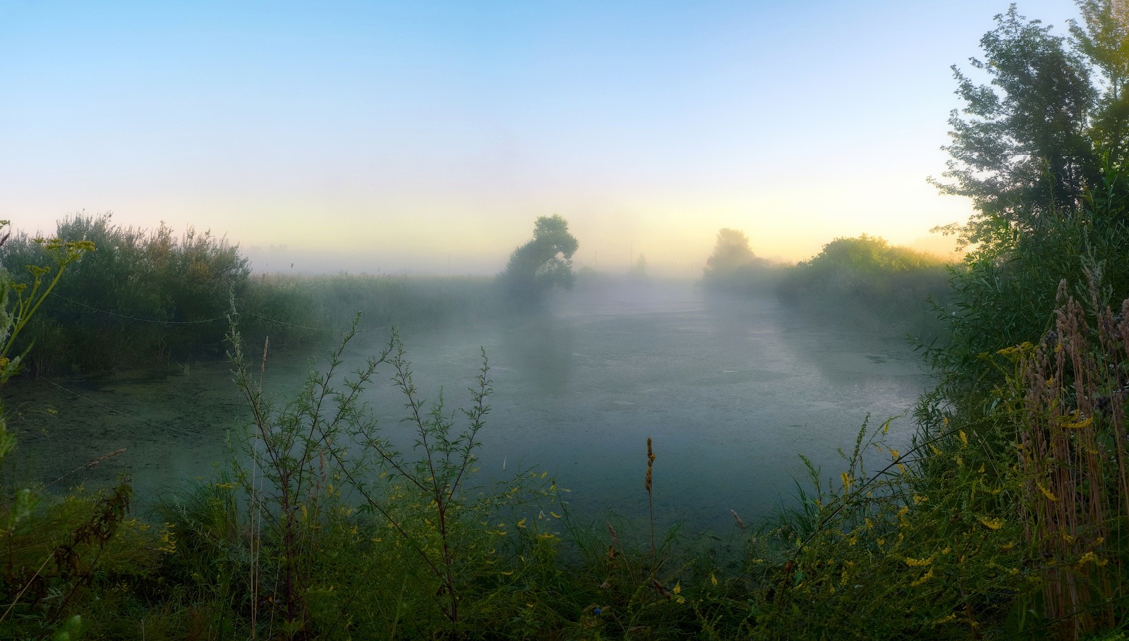 photo "About oxbow lake in which they live ghost ..." tags: landscape, panoramic, morning, summer, старица