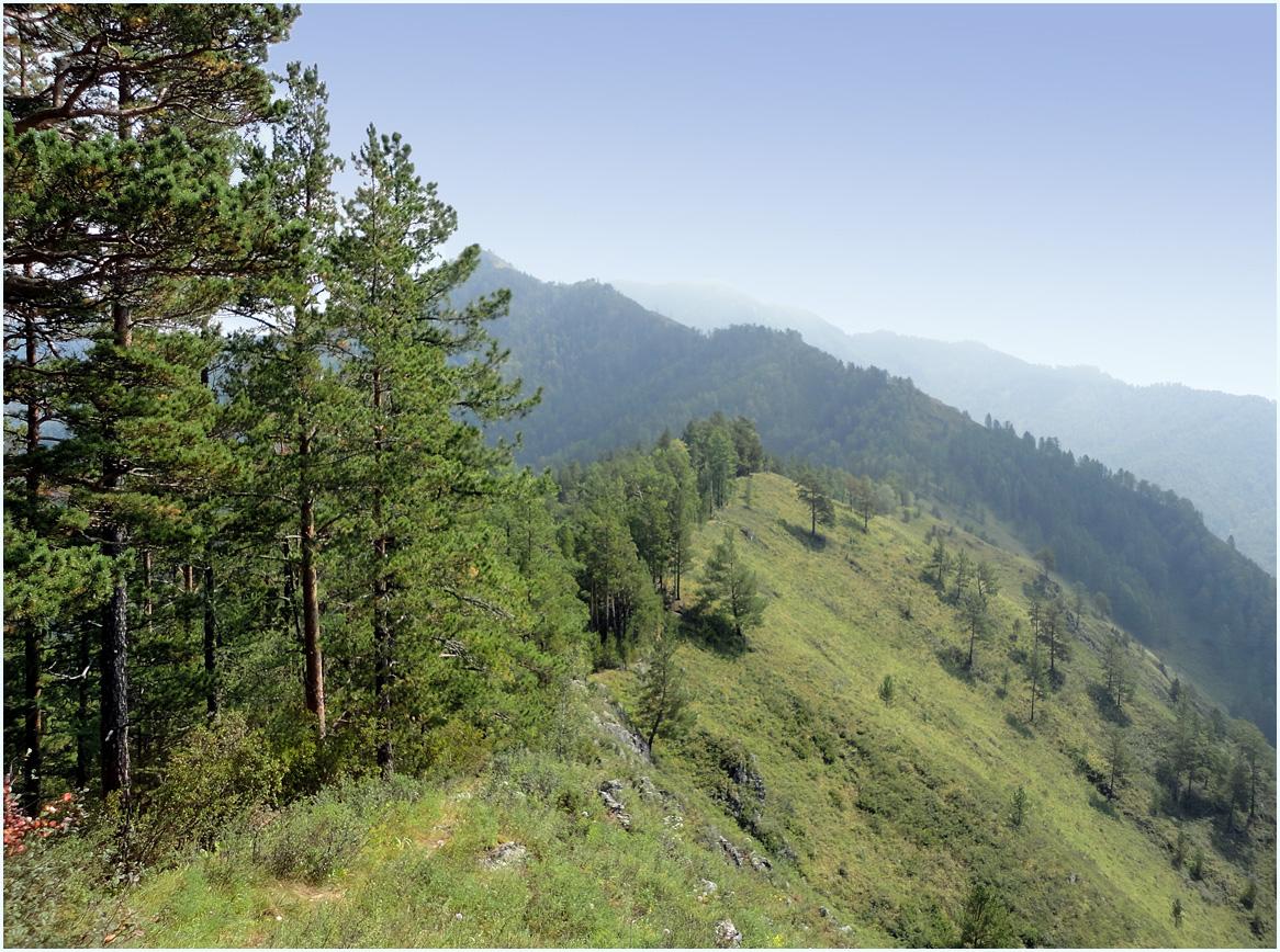 photo "***" tags: landscape, forest, mountains, summer