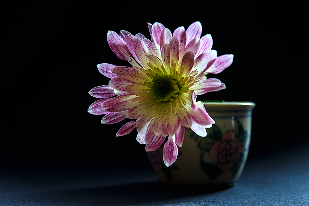 photo "***" tags: , 