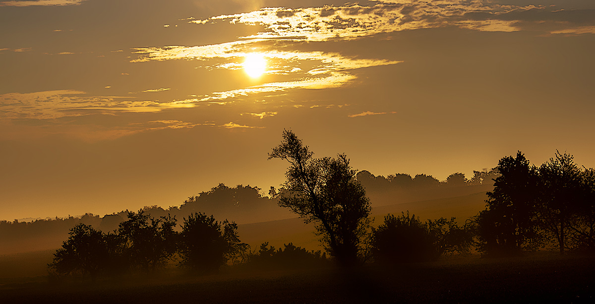 photo "***" tags: , 