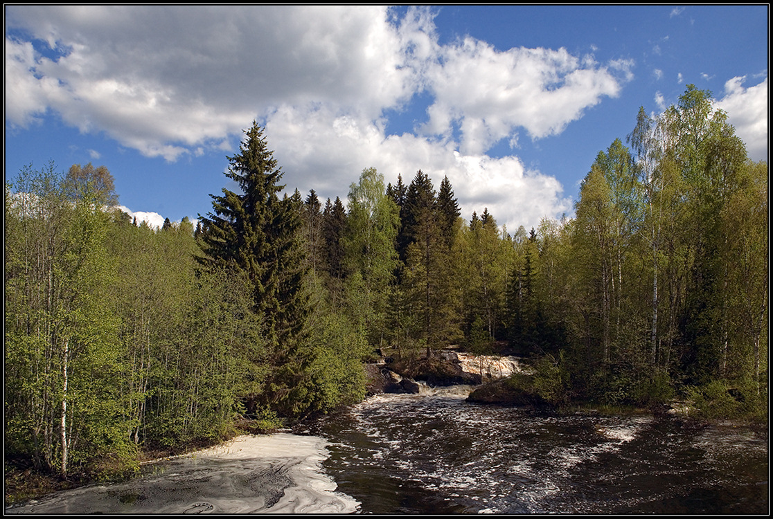 photo "Foamy rapids" tags: landscape, Karelia, river, порог