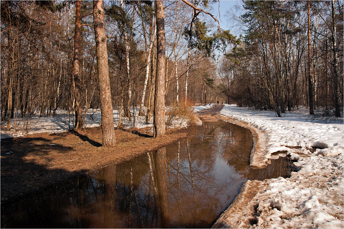 фото "***" метки: пейзаж, весна