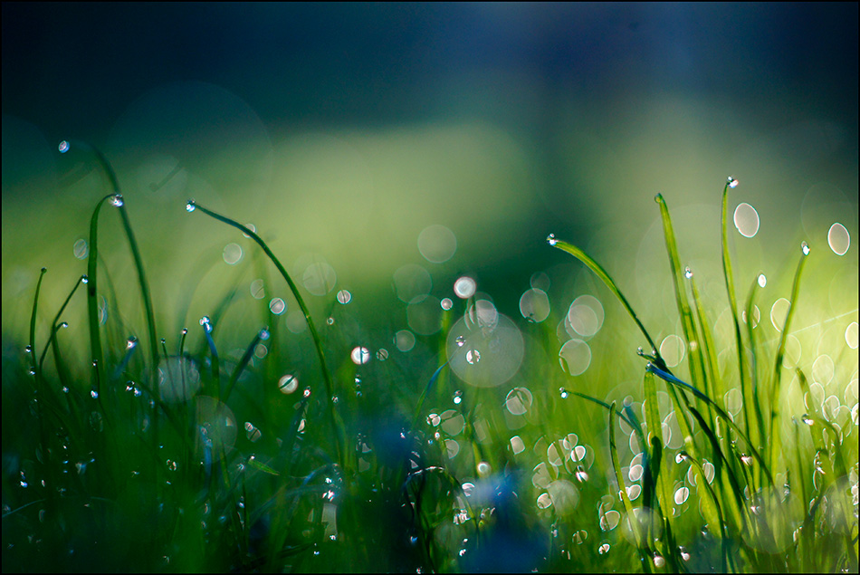 фото "***" метки: , 