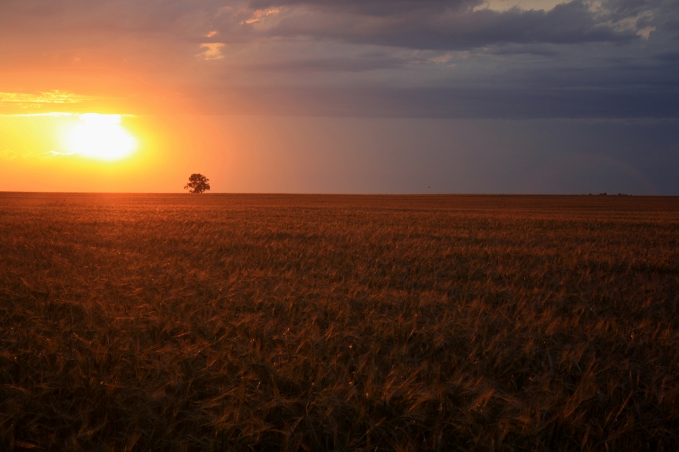 photo "****" tags: landscape, sunset