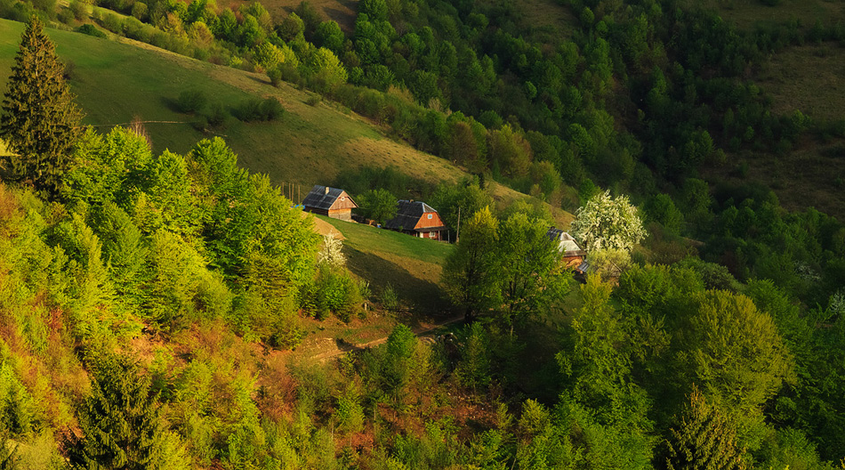 photo "***" tags: travel, landscape, nature, autumn, flowers, forest, grass, morning, mountains, summer, sunrise, Карпаты, деревня, лужайка, поля, простор, путешествие, сельская, ферма, холмы