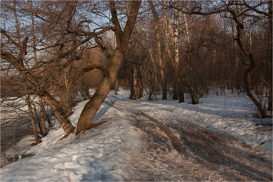 photo "***" tags: landscape, spring