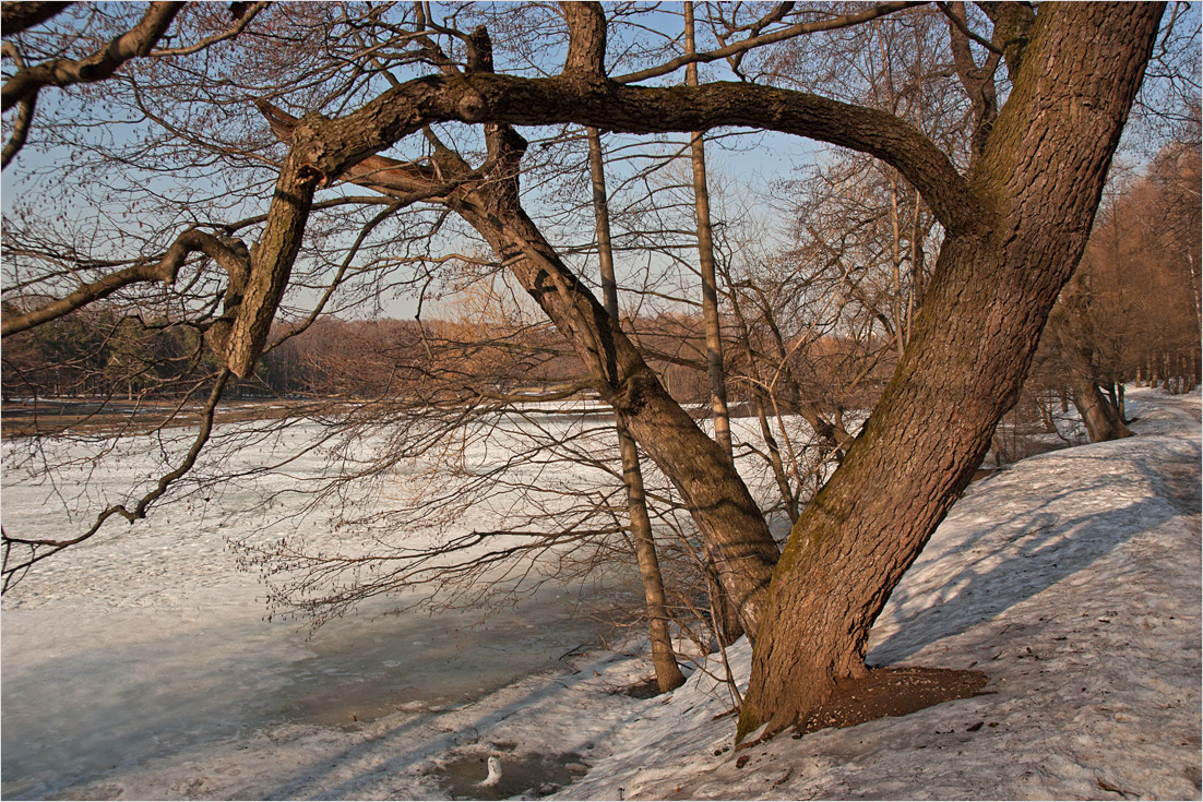 фото "***" метки: пейзаж, весна