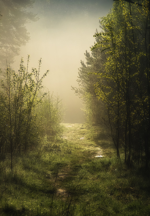 photo "Towards the light" tags: , 