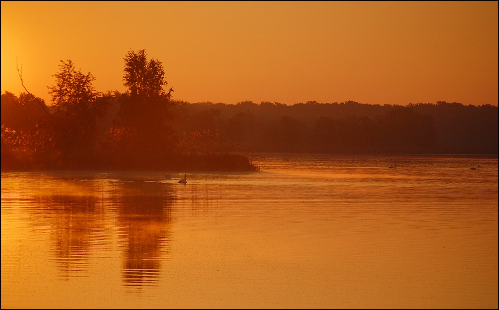 photo "*" tags: landscape, 