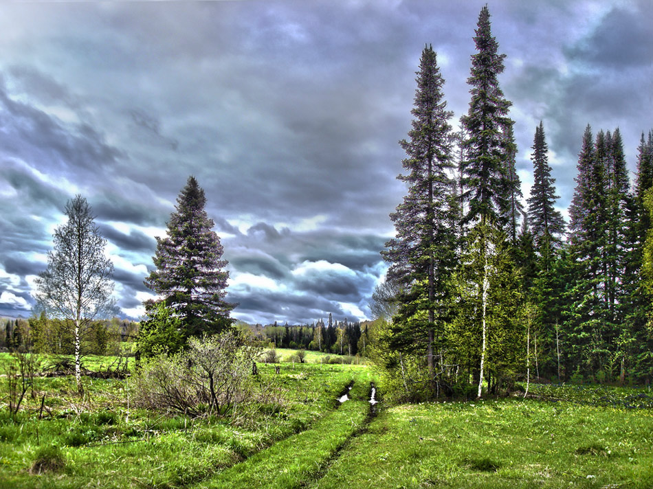 photo "***" tags: landscape, nature, HDR, clouds, forest, spring