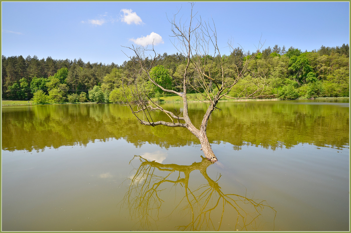 photo "***" tags: landscape, 