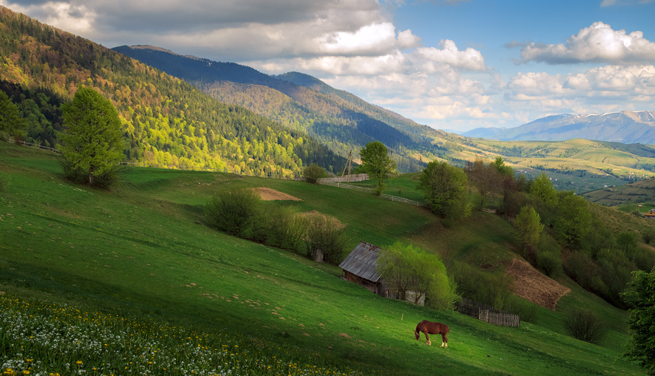 фото "карпатский пейзаж с красным конем:)" метки: пейзаж, природа, путешествия, Карпаты, горы, диагонали, изгородь, конь, лошадь, межгорье, небо, разноцветный, рассвет, свет, сельский, солнце, ферма, холмы