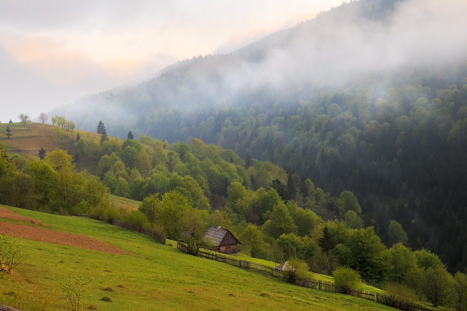 photo "***" tags: landscape, travel, nature, autumn, clouds, forest, grass, light, morning, mountains, sky, spring, summer, sunrise, Восход, Карпаты, деревня, диагонали, изгородь, лужайка, межгорье, поля, простор, путешествие, разноцветный, сельская, сельский, склоны, солнечный луч, ферма, холмы