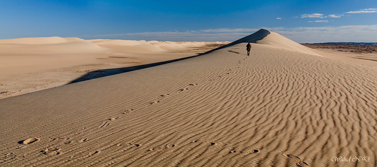 фото "Foot prints on sand" метки: пейзаж, путешествия, природа, desert, Африка