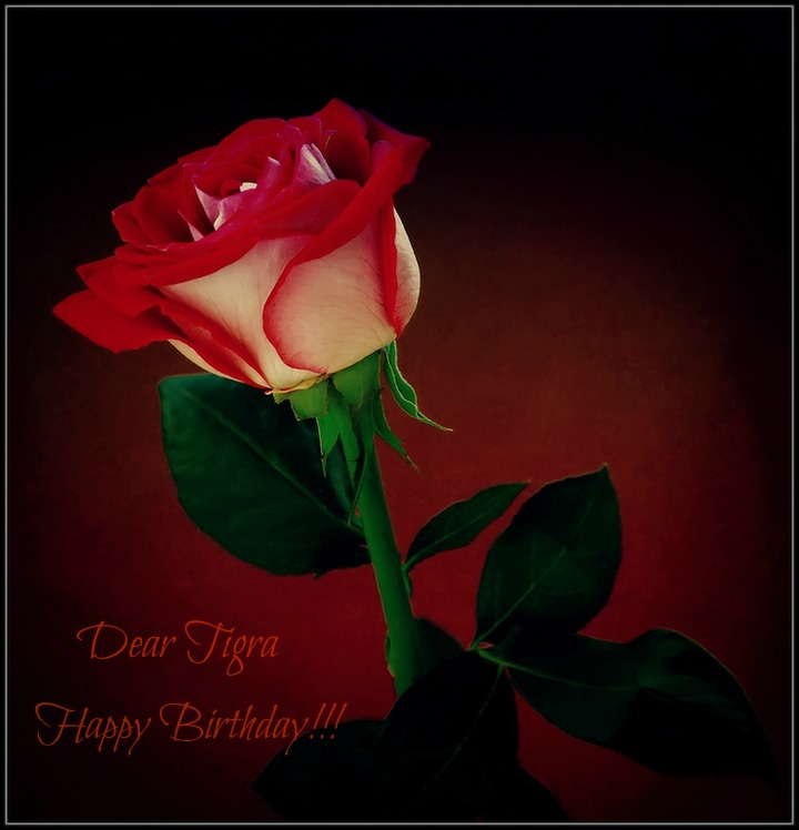 фото "HAPPY BIRTHDAY,TIGRA!!!" метки: , 