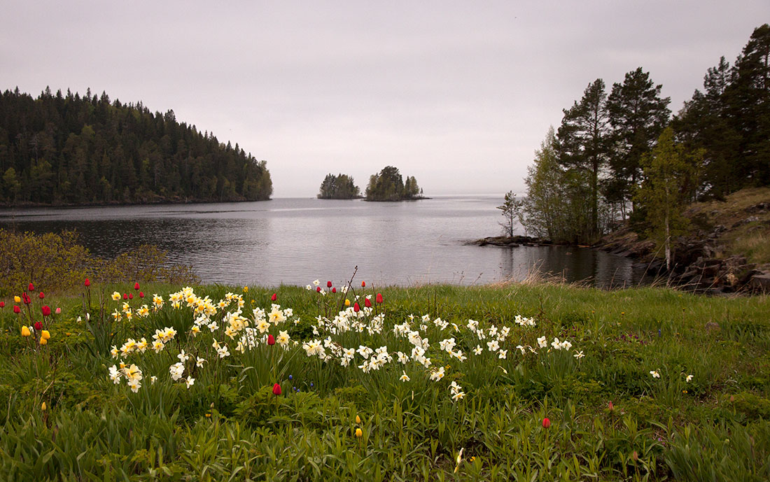 photo "***" tags: landscape, nature, travel, Валаам