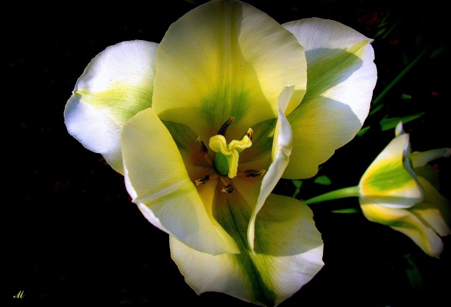 photo "Earth poems" tags: nature, 