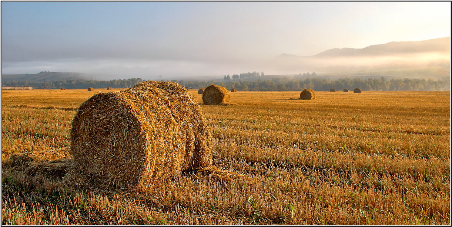 photo "***" tags: landscape, nature, 