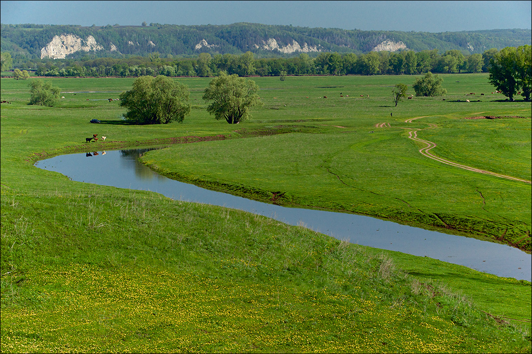 photo "Bottom land" tags: landscape, travel, river, долина, пойма