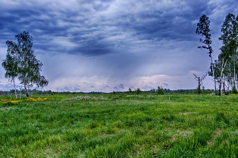 фото "Весна Красна" метки: пейзаж, Южный Урал Весна Urals Spring