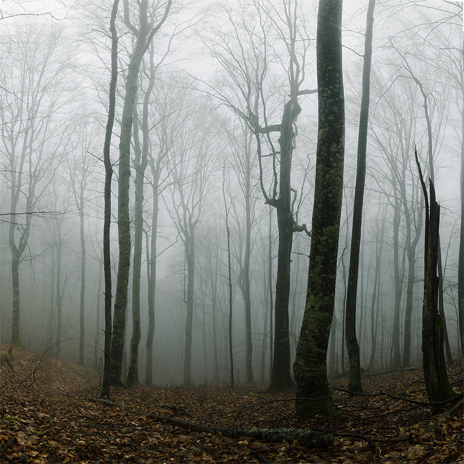 photo "Fogs of Neberdjay" tags: landscape, 