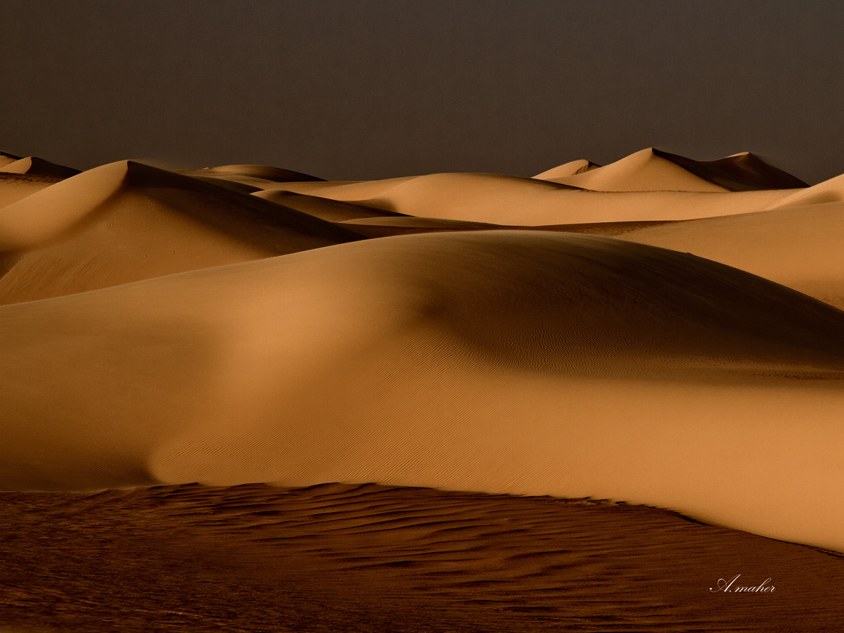 photo "Sand dunes" tags: landscape, travel, 