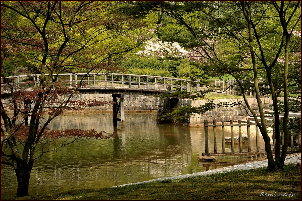 фото "***" метки: пейзаж, архитектура, репортаж, spring, вода, цветы