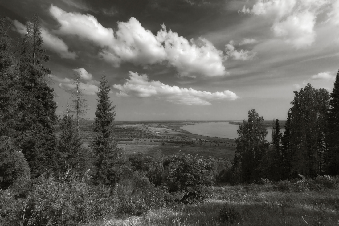 photo "***" tags: landscape, black&white, clouds, coast, forest, grass, river, summer, Кама, елки