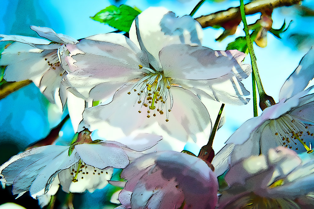 photo "***" tags: , 