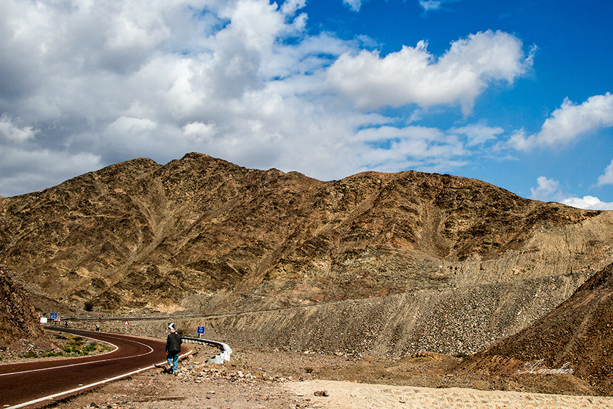 photo "The Road # 2" tags: landscape, 