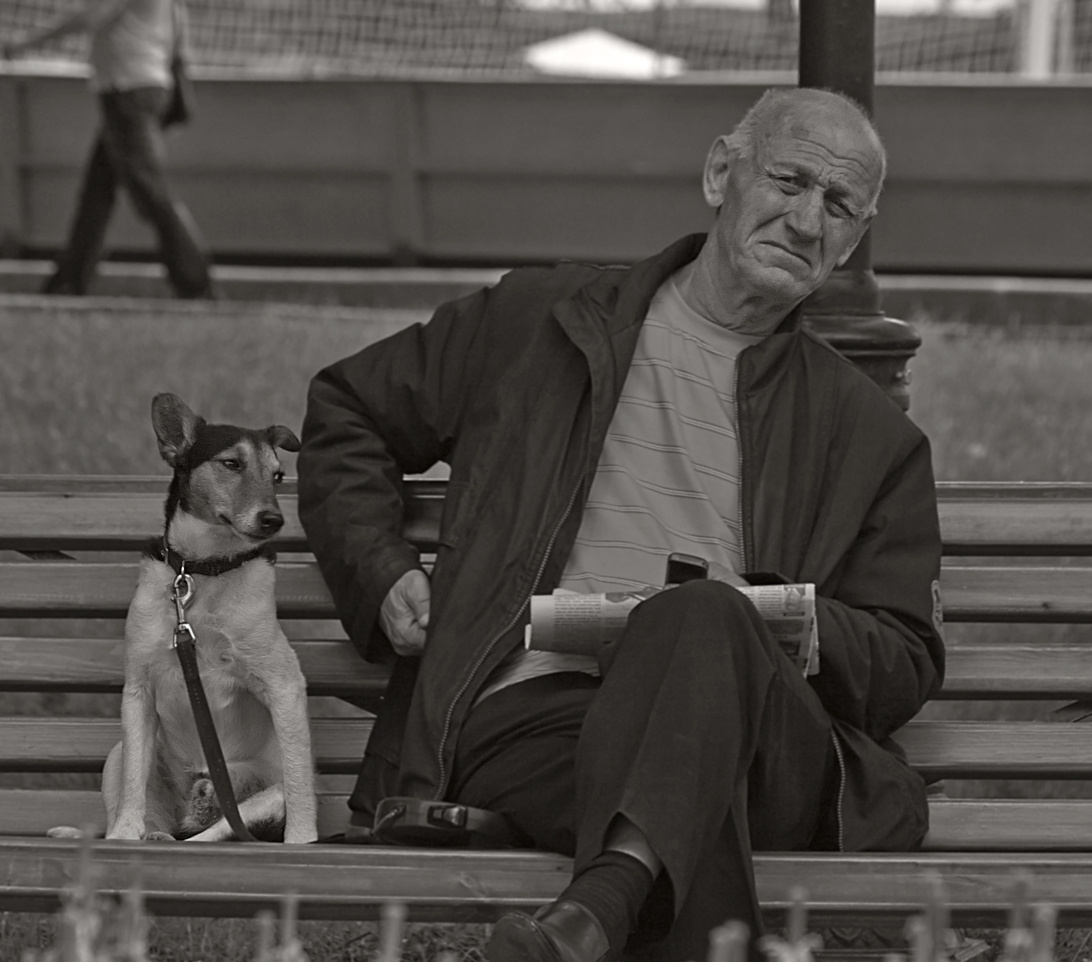 photo "***" tags: genre, 