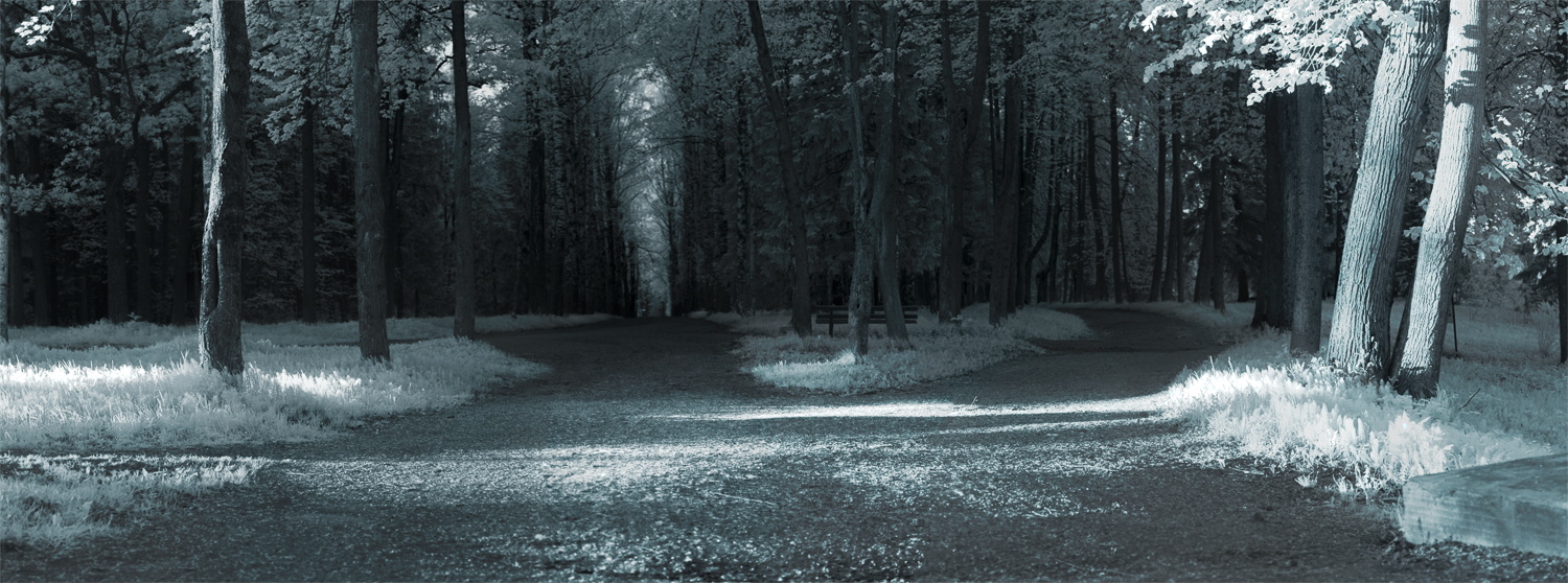 фото "инфраред" метки: пейзаж, infrared, закат