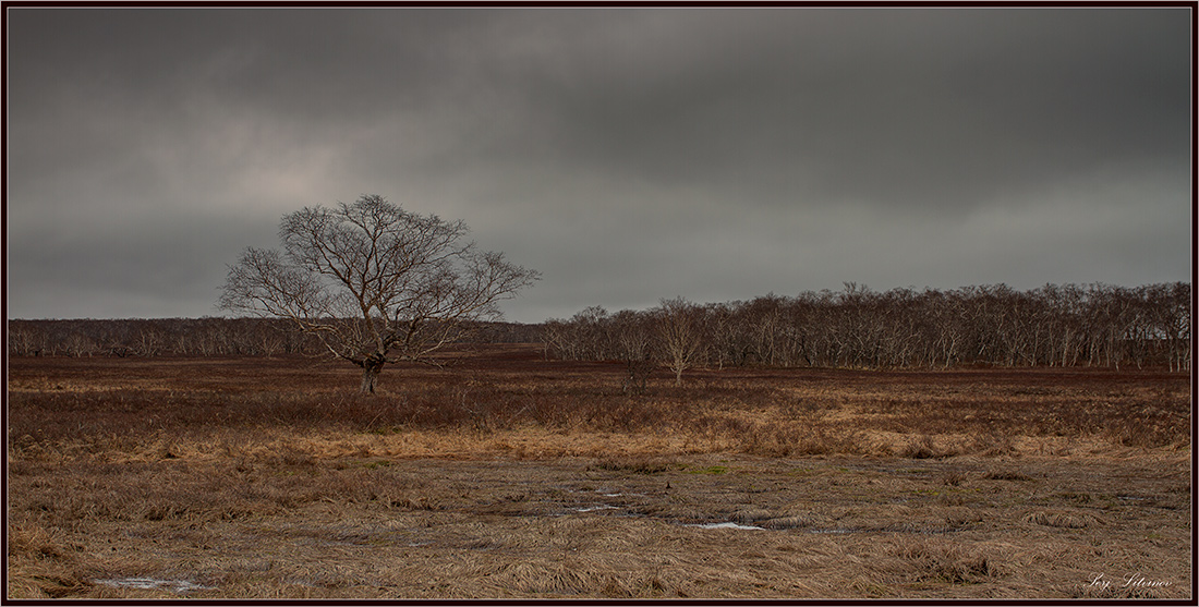 photo "***" tags: landscape, 