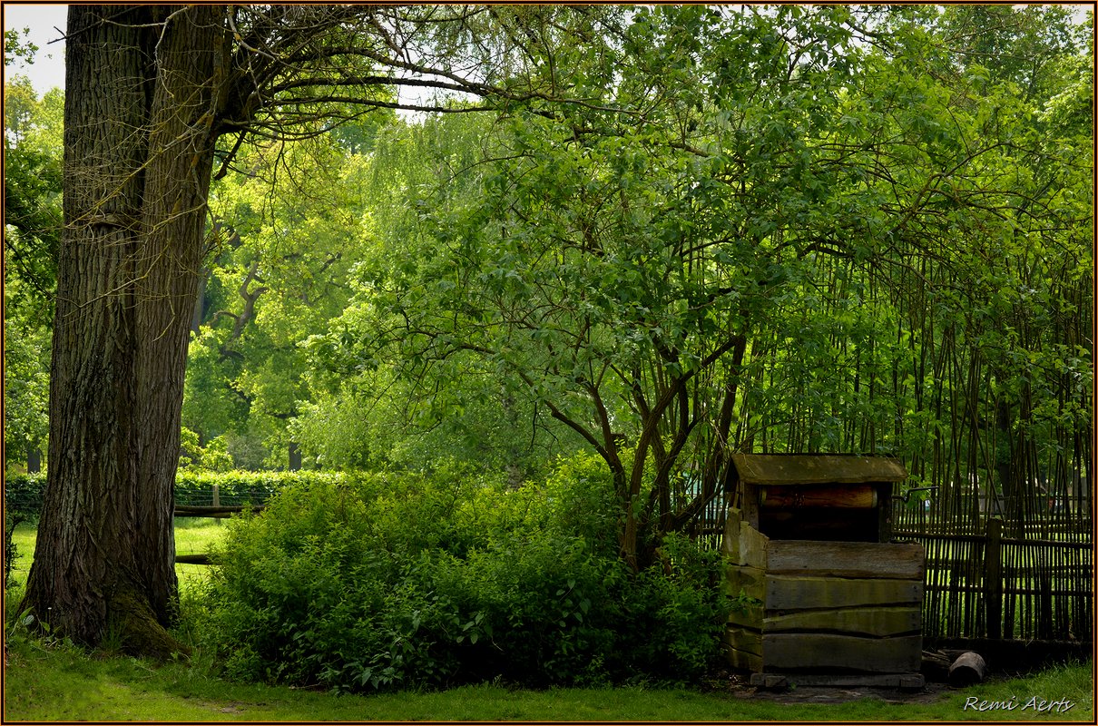 photo "The well on the farm" tags: landscape, nature, spring