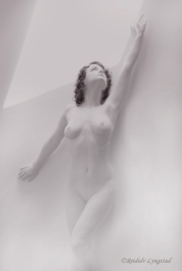 photo "The light from above" tags: nude, nude woman girl light natural