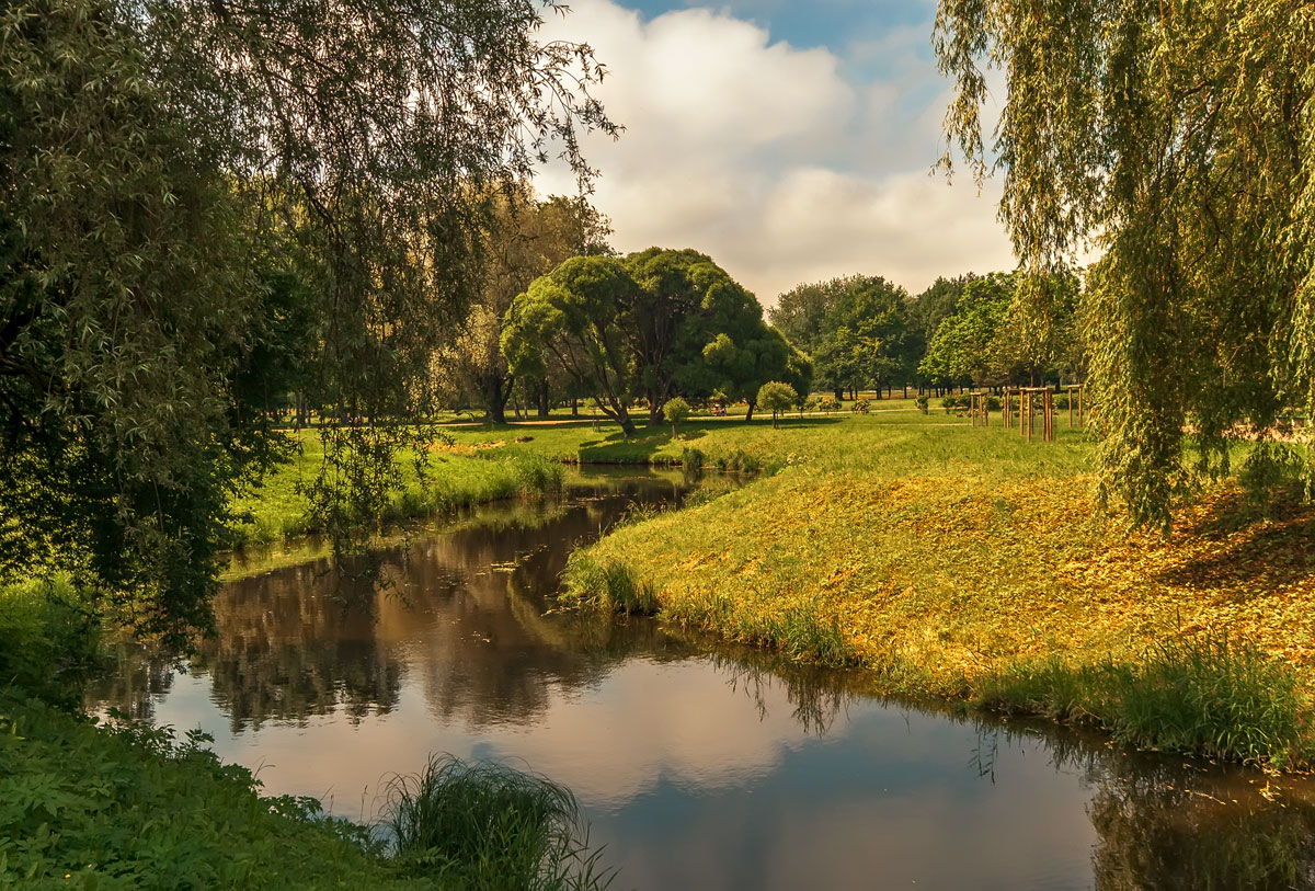 photo "***" tags: landscape, city, clouds, reflections, summer, water, деревья