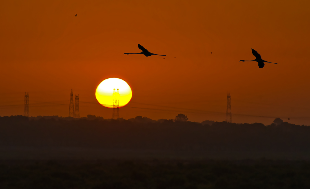 photo "SUNRISE" tags: nature, panoramic, landscape, Europe, Tagus, estuary, portugal, river.