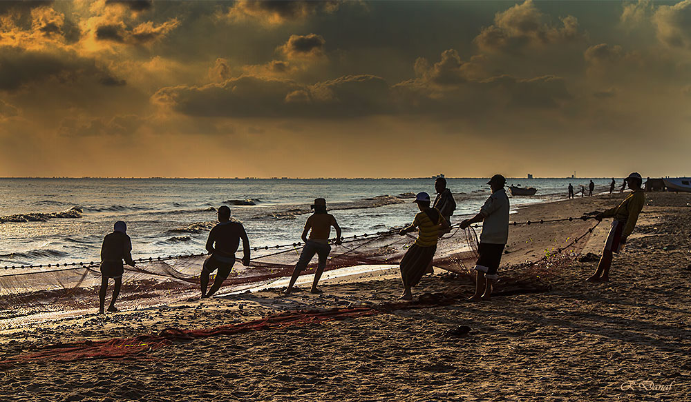 photo "Fishermen 4" tags: genre, 