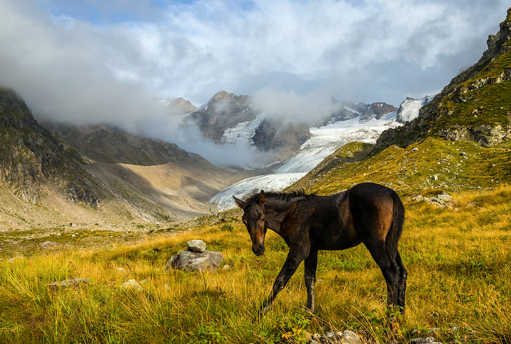 photo "***" tags: landscape, mountains, Кавказ