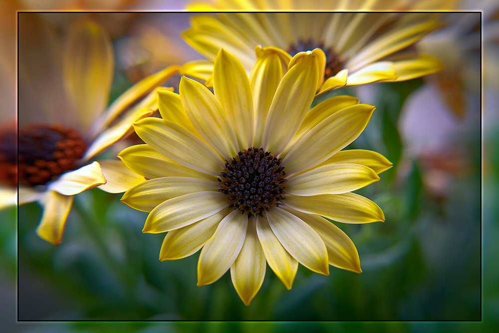 photo "***" tags: , 