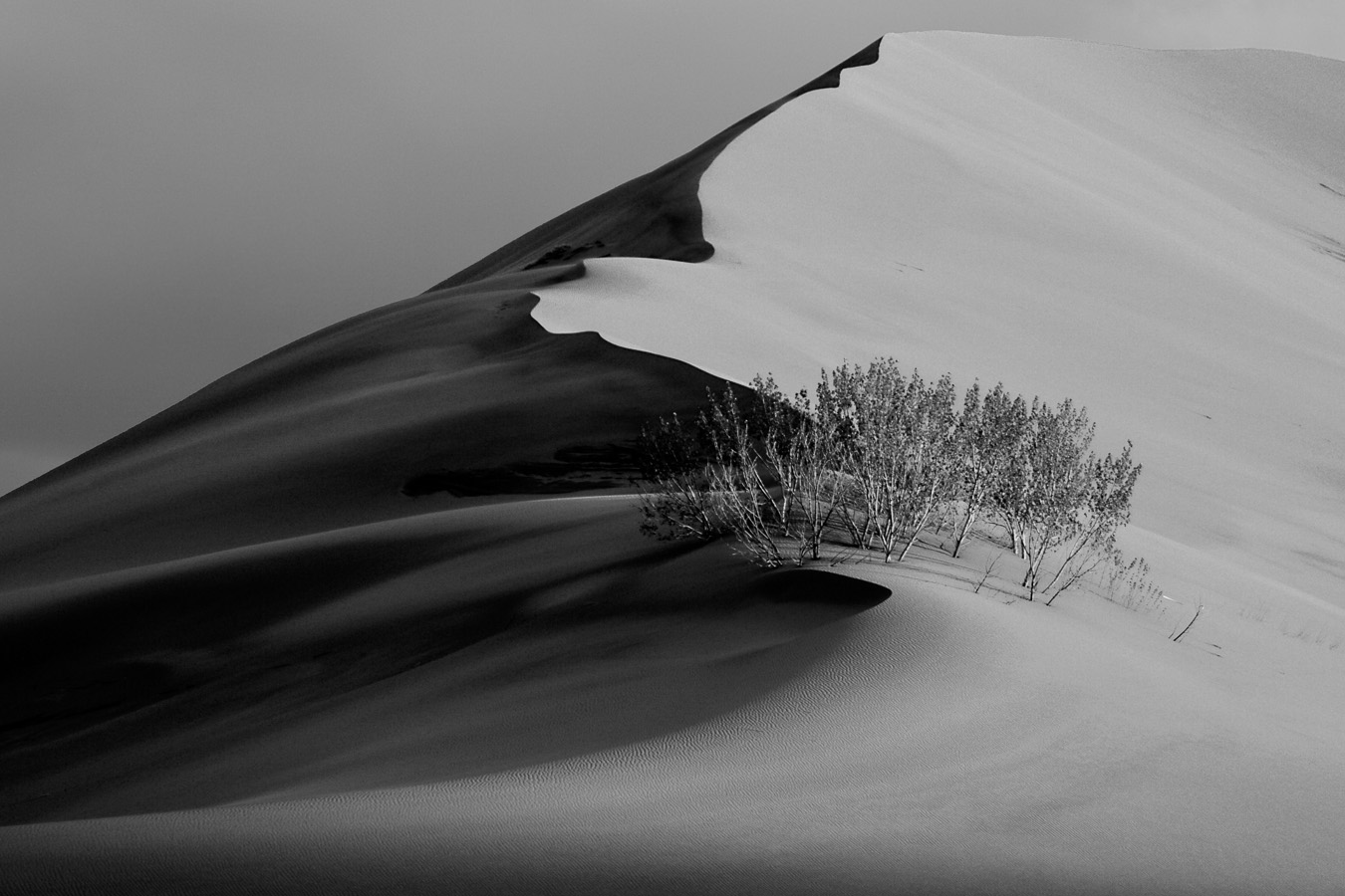 photo "Brunneau Dunes" tags: landscape, black&white, Brunneau, Idaho, Sand, dune