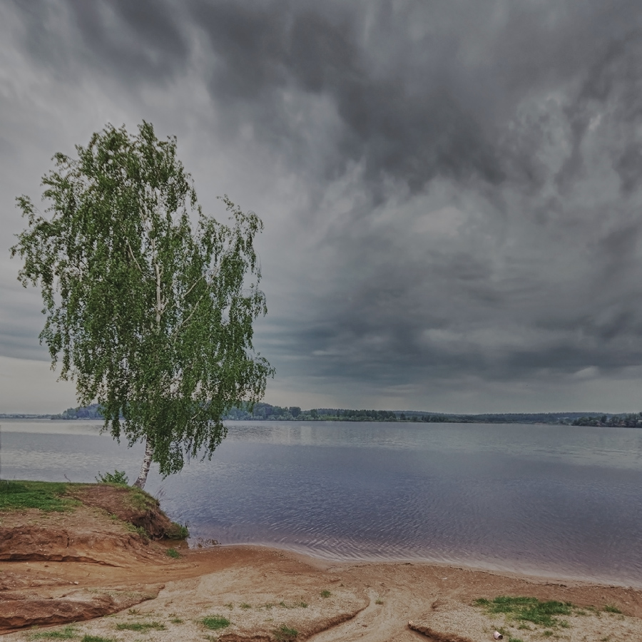 photo "***" tags: landscape, lake, берёзка, непогода, одиночество