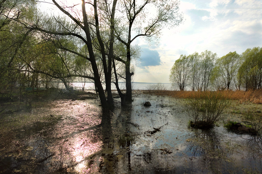 фото "Начало мая на берегу Плещеева озера" метки: пейзаж, озеро