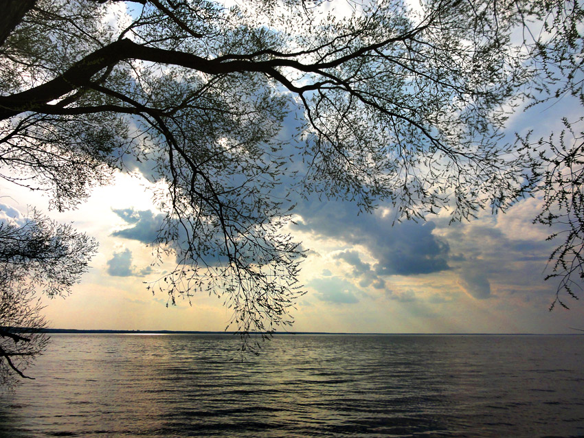 фото "Ранний вечер на берегу Плещеева озера" метки: пейзаж, озеро